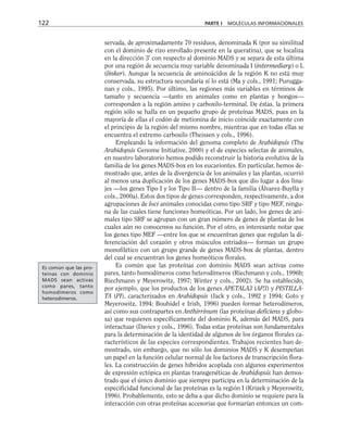 servada, de aproximadamente 70 residuos, denominada K (por su similitud
con el dominio de rizo enrollado presente en la queratina), que se localiza
en la dirección 3' con respecto al dominio MADS y se separa de esta última
por una región de secuencia muy variable denominada I (intermediary) o L
(linker). Aunque la secuencia de aminoácidos de la región K no está muy
conservada, su estructura secundaria sí lo está (Ma y cols., 1991; Purugga-
nan y cols., 1995). Por último, las regiones más variables en términos de
tamaño y secuencia —tanto en animales como en plantas y hongos—
corresponden a la región amino y carboxilo-terminal. De éstas, la primera
región sólo se halla en un pequeño grupo de proteínas MADS, pues en la
mayoría de ellas el codón de metionina de inicio coincide exactamente con
el principio de la región del mismo nombre, mientras que en todas ellas se
encuentra el extremo carboxilo (Theissen y cols., 1996).
Empleando la información del genoma completo de Arabidopsis (The
Arabidopsis Genome Initiative, 2000) y el de especies selectas de animales,
en nuestro laboratorio hemos podido reconstruir la historia evolutiva de la
familia de los genes MADS-box en los eucariontes. En particular, hemos de-
mostrado que, antes de la divergencia de los animales y las plantas, ocurrió
al menos una duplicación de los genes MADS-box que dio lugar a dos lina-
jes —los genes Tipo I y los Tipo II— dentro de la familia (Álvarez-Buylla y
cols., 2000a). Estos dos tipos de genes corresponden, respectivamente, a dos
agrupaciones de loci animales conocidas como tipo SRF y tipo MEF, ningu-
na de las cuales tiene funciones homeóticas. Por un lado, los genes de ani-
males tipo SRF se agrupan con un gran número de genes de plantas de los
cuales aún no conocemos su función. Por el otro, es interesante notar que
los genes tipo MEF —entre los que se encuentran genes que regulan la di-
ferenciación del corazón y otros músculos estriados— forman un grupo
monofilético con un grupo grande de genes MADS-box de plantas, dentro
del cual se encuentran los genes homeóticos florales.
Es común que las proteínas con dominio MADS sean activas como
pares, tanto homodímeros como heterodímeros (Riechmann y cols., 1996b;
Riechmann y Meyerowitz, 1997; Winter y cols., 2002). Se ha establecido,
por ejemplo, que los productos de los genes APETALA3 (AP3) y PISTILLA-
TA (PI), caracterizados en Arabidopsis (Jack y cols., 1992 y 1994; Goto y
Meyerowitz, 1994; Bouhidel e Irish, 1996) pueden formar heterodímeros,
así como sus contrapartes en Anthirrinum (las proteínas deficiens y globo-
sa) que requieren específicamente del dominio K, además del MADS, para
interactuar (Davies y cols., 1996). Todas estas proteínas son fundamentales
para la determinación de la identidad de algunos de los órganos florales ca-
racterísticos de las especies correspondientes. Trabajos recientes han de-
mostrado, sin embargo, que no sólo los dominios MADS y K desempeñan
un papel en la función celular normal de los factores de transcripción flora-
les. La construcción de genes híbridos acoplada con algunos experimentos
de expresión ectópica en plantas transgenéticas de Arabidopsis han demos-
trado que el único dominio que siempre participa en la determinación de la
especificidad funcional de las proteínas es la región I (Krizek y Meyerowitz,
1996). Probablemente, esto se deba a que dicho dominio se requiere para la
interacción con otras proteínas accesorias que formarían entonces un com-
122 PARTE I MOLÉCULAS INFORMACIONALES
Es común que las pro-
teínas con dominio
MADS sean activas
como pares, tanto
homodímeros como
heterodímeros.
 