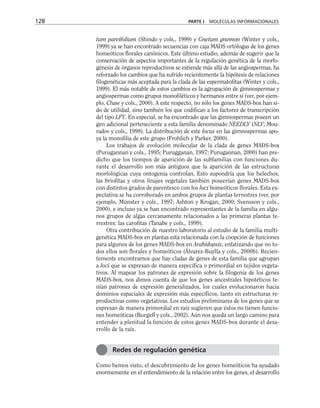 tum parvifolium (Shindo y cols., 1999) y Gnetum gnemon (Winter y cols.,
1999) ya se han encontrado secuencias con caja MADS ortólogas de los genes
homeóticos florales canónicos. Este último estudio, además de sugerir que la
conservación de aspectos importantes de la regulación genética de la morfo-
génesis de órganos reproductivos se extiende más allá de las angiospermas, ha
reforzado los cambios que ha sufrido recientemente la hipótesis de relaciones
filogenéticas más aceptada para la clada de las espermatofitas (Winter y cols.,
1999). El más notable de estos cambios es la agrupación de gimnospermas y
angiospermas como grupos monofiléticos y hermanos entre sí (ver, por ejem-
plo, Chaw y cols., 2000). A este respecto, no sólo los genes MADS-box han si-
do de utilidad, sino también los que codifican a los factores de transcripción
del tipo LFY. En especial, se ha encontrado que las gimnospermas poseen un
gen adicional perteneciente a esta familia denominado NEEDLY (NLY; Mou-
radov y cols., 1998). La distribución de este locus en las gimnospermas apo-
ya la monofilia de este grupo (Frohlich y Parker, 2000).
Los trabajos de evolución molecular de la clada de genes MADS-box
(Purugannan y cols., 1995; Purugganan, 1997; Purugannan, 2000) han pre-
dicho que los tiempos de aparición de las subfamilias con funciones du-
rante el desarrollo son más antiguos que la aparición de las estructuras
morfológicas cuya ontogenia controlan. Esto supondría que los helechos,
las briofitas y otros linajes vegetales también poseerían genes MADS-box
con distintos grados de parentesco con los loci homeóticos florales. Esta ex-
pectativa se ha corroborado en ambos grupos de plantas terrestres (ver, por
ejemplo, Münster y cols., 1997; Ashton y Krogan, 2000; Svensson y cols.,
2000), e incluso ya se han encontrado representantes de la familia en algu-
nos grupos de algas cercanamente relacionados a las primeras plantas te-
rrestres: las carofitas (Tanabe y cols., 1999).
Otra contribución de nuestro laboratorio al estudio de la familia multi-
genética MADS-box en plantas está relacionada con la coopción de funciones
para algunos de los genes MADS-box en Arabidopsis, enfatizando que no to-
dos ellos son florales y homeóticos (Álvarez-Buylla y cols., 2000b). Recien-
temente encontramos que hay cladas de genes de esta familia que agrupan
a loci que se expresan de manera específica o primordial en tejidos vegeta-
tivos. Al mapear los patrones de expresión sobre la filogenia de los genes
MADS-box, nos dimos cuenta de que los genes ancestrales hipotéticos te-
nían patrones de expresión generalizados, los cuales evolucionaron hacia
dominios espaciales de expresión más específicos, tanto en estructuras re-
productivas como vegetativas. Los estudios preliminares de los genes que se
expresan de manera primordial en raíz sugieren que éstos no tienen funcio-
nes homeóticas (Burgeff y cols., 2002). Aún nos queda un largo camino para
entender a plenitud la función de estos genes MADS-box durante el desa-
rrollo de la raíz.
Como hemos visto, el descubrimiento de los genes homeóticos ha ayudado
enormemente en el entendimiento de la relación entre los genes, el desarrollo
128 PARTE I MOLÉCULAS INFORMACIONALES
Redes de regulación genética
 