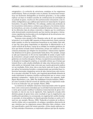 ontogenético y la evolución de estructuras complejas en los organismos
multicelulares. Tanto en animales como en plantas, las mutaciones homeó-
ticas son fácilmente distinguibles en términos generales, y se han podido
explicar con base en modelos sencillos de combinaciones de actividades de
un puñado de genes, muchos de ellos pertenecientes únicamente a dos fa-
milias multigenéticas que codifican para factores de transcripción: los genes
homeobox y los genes MADS-box. Sin embargo, análisis más profundos de
los mecanismos moleculares y celulares que subyacen a los mismos mutan-
tes homeóticos, así como a la amplia variedad de tamaños, formas y colores
de los diferentes tipos de planes corporales y órganos que los constituyen,
están demostrando consistentemente que hay muchos más genes e interac-
ciones regulatorias involucrados en la morfogénesis de las estructuras com-
plejas (Gerhart y Kirschner, 1997).
Tomemos como ejemplo la flor. Mutantes nulos de AG, que constituyen
la función C en el modelo ABC expuesto en líneas anteriores, tienen restos de
tejido carpelar; en ellos las mutaciones homeóticas no son totales. Esto indi-
ca que hay otros genes importantes en determinar la diferenciación en el
cuarto verticilo de las flores. A pesar de su utilidad, los modelos genéticos clá-
sicos que hemos revisado tienen limitaciones, porque son estáticos y no in-
corporan propuestas que integren los mecanismos e interacciones regulato-
rias dinámicas de los genes caracterizados hasta ahora. Por ejemplo, aunque
se sabe qué mutaciones en AG son las responsables de anular, en gran medi-
da, la función C, este gen cumple otras funciones, pues tiene interacciones re-
gulatorias con muchos más genes. En base a la experiencia acumulada duran-
te décadas de investigación empírica, es razonable estimar que el tiempo que
tomaría llevar a cabo estudios detallados de todas estas interacciones adicio-
nales podría ser demasiado largo como para que nuestra generación pudiera
ver sus resultados. Entre otras, ésta es una fuerte razón por la que el interés
por aplicar herramientas formales y computacionales que permitan hacer in-
ferencias funcionales integrativas acerca de tales interacciones está crecien-
do a una gran velocidad. De hecho, esta inquietud generalizada alimenta de
modo importante la empresa científica multinacional que se conoce como
genómica comparativa —dentro de la cual se incluye, por supuesto, Arabi-
dopsis (Riechmann y cols., 2000, The Arabidopsis Genome Initiative, 2000)—
así como la puesta al día de la teoría de sistemas para los organismos mode-
lo en la era molecular (ver, por ejemplo, Kitano, 2002).
La existencia de múltiples relaciones transcripcionales entre los genes
tiene como consecuencia inmediata que la actividad transcripcional de uno
o varios genes puede modificar la dinámica transcripcional de genes invo-
lucrados en más de una vía de regulación. Esta regulación cruzada entre
distintos grupos de genes tiene como resultado el que la magnitud de una
modificación genotípica no corresponda a la magnitud del cambio fenotípi-
co asociado; en otras palabras, la relación genotipo-fenotipo se vuelve no li-
neal (ver, por ejemplo, Moreno, 1994). Traducido al contexto de la diferen-
ciación celular, esto es equivalente a la antigua y paradójica observación de
que, mientras que los organismos poseen diferentes tipos celulares, éstos
son especificados a partir del mismo genotipo. ¿Cómo puede explicarse es-
to? Para entender el fenómeno, es importante explorar qué tipo de arquitec-
CAPÍTULO 5 GENES HOMEÓTICOS Y MECANISMOS MOLECULARES DE DIFERENCIACIÓN CELULAR 129
 