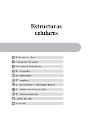 Transducción de señales
Los contactos intercelulares
El citoesqueleto
Las mitocondrias
Estructuras
celulares
6
7
8
9
10
La membrana celular
El cloroplasto
11
El núcleo interfásico. Morfología y función
12
El ribosoma: estructura y función
13
El retículo endoplásmico
14
Aparato de Golgi
15
Lisosomas
16
 