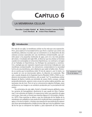 Por más de un siglo, la membrana celular no fue más que una suposición.
Pero, para explicar la necesidad teórica que llevó a suponer que existe una
membrana, debemos recordar que un osmómetro es un dispositivo de dos
cámaras acuosas separadas por una membrana semipermeable, que per-
mite pasar a las pequeñas moléculas de agua, pero no a las más grandes
del soluto. A mediados del siglo XIX, al observar que las células se hinchan
cuando son sumergidas en soluciones hipotónicas y se contraen y arrugan
al ser bañadas en hipertónicas, los biólogos las asemejaron a osmóme-
tros, analogía que por supuesto requería que estuvieran rodeadas por una
membrana semipermeable. Los detractores comprendieron la necesidad
teórica de una membrana, pero objetaron que nadie la había visto. Tenien-
do en cuenta que la membrana mide 10 nm de espesor y, por lo tanto, no
se puede ver con un microscopio óptico, la objeción no sorprende. Más
aún, cuando después de la Segunda Guerra Mundial (1939 a 1945) se em-
plearon microscopios electrónicos, sólo se pudo “ver” la membrana celular
después de fijarla y teñirla con tetróxido de osmio (OsO4
), porque, cortada
perpendicularmente, aparece como un par de rayitas negras paralelas, que
asemejan vías de tren. Pero ni así se convencieron algunos biólogos, pues
atribuyeron esa imagen a un artefacto producido por la precipitación del
osmio.
Ya a principios de este siglo, Gortel y Grendel tomaron glóbulos rojos,
los vaciaron de hemoglobina, disolvieron lo que quedó de ellos (“fantas-
mas”) con solventes de lípidos y lo esparcieron sobre una superficie de agua
con lo que, claro está, se formó una mancha (figura 6-1) (Cereijido y Rotun-
no, 1971). Esas manchas se deben a que las moléculas de los lípidos de la
membrana son anfipáticos (una punta de la molécula busca sumergirse en el
agua y a la otra la repele), y forman una mancha de una molécula de espesor
que tiene aproximadamente el doble de área (2a) que la de los glóbulos rojos
(a) de los que se extrajeron los lípidos o, para expresarlo de otra manera,
151
LA MEMBRANA CELULAR
CAPÍTULO 6
Marcelino Cereijido Mattioli ■ Rubén Gerardo Contreras Patiño
Liora Shoshani ■ Arturo Ponce Balderas
Introducción
La membrana mide
10 nm de espesor.
 