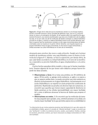 152 PARTE II ESTRUCTURAS CELULARES
2a
a
Lípidos
Figura 6-1. Origen de la idea de que la membrana celular es una bicapa lipídica.
Gortel y Grendel tomaron cierta cantidad de glóbulos rojos, que en su conjunto
tenían un área a y le extrajeron los lípidos. Al ser puestos sobre una superficie de agua
(centro) formaron una mancha (sombreado) cuya área era el doble de la de los glóbu-
los (2a), en la que cada una de las moléculas de lípidos sumergió su cabeza hidrofílica
(círculo) en el agua, y orientó su cadena hidrofóbica hacia el aire (arriba derecha). Esto
llevó a suponer que las membranas consisten en dos capas monomoleculares de lípidos
orientados como se muestra en la parte inferior derecha: una hojuela expone sus
grupos hidrofílicos hacia el agua intracelular, la otra hacia el agua extracelular, y
ambas esconden sus colas hidrofóbicas en el seno de la membrana.
alcanzaría para envolver dos veces a cada eritrocito. Surgió así el primer
modelo de membrana celular: una capa bilipídica como se ilustra a la de-
recha de la figura 6-1. Además, se hizo la suposición, por demás obvia, de
que cada lípido escondería su mitad hidrofóbica en el seno de la membra-
na y expondría su porción hidrofílica al agua citoplasmática o a la extra-
celular.
Ciertos hechos apoyaban dicho modelo y otros que lo hacían insatisfac-
torio. Veamos algunos de los que tienen valor didáctico porque fueron for-
jando las ideas actuales.
• Observaciones a favor. Si se toma una probeta con 50 mililitros de
agua y 50 de aceite, se agrega cierta sustancia, se agita y se espera a
que se separen ambas fases, se puede encontrar que esta sustancia se
disolvió exclusivamente en el agua (hidrofílica), exclusivamente en el
aceite (hidrofóbica) o se repartió en cierta proporción (coeficiente de
partición). Repitiendo esa prueba con diversos tipos de sustancias, se
encontró que aquellas que tienen mayor capacidad de disolverse en
lípido penetran en las células (permeabilidad) con mayor facilidad,
tal y como si debieran atravesar la barrera de lípidos que propone el
modelo.
• Observaciones en contra. 1) Se encontró que las moléculas de tama-
ño muy pequeño (por ejemplo, urea, eritritol) penetran en la célula con
mucha mayor facilidad1
de la que permitía esperar de su solubilidad en
1
La observación de que ciertas sustancias penetran más fácilmente de lo que cabe esperar de
su solubilidad en lípidos, generó el concepto de “difusión facilitada”. Luego se encontró que
esta “facilitación” se debe a la existencia de poros, canales, acarrreadores, bombas, sistemas
de exocitosis, pinocitosis, etcétera, que hacen innecesaria la antigua nomenclatura de “difu-
sión facilitada”.
 