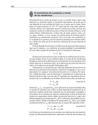 Dependiendo de la escala de tiempo en que se estudie (horas, días), toda
estructura y molécula celular se recambia cíclicamente, de modo que la
vida depende de una multitud de flujos con el medio que la rodea. Estos
flujos (J) suelen anotarse JNa
, Jgluc
, Jcist
, para referirse al de sodio, glucosa,
cisteína, etcétera. Es importante tener en cuenta que el flujo neto de una
sustancia resulta de la diferencia entre el flujo de entrada (influjo) y el de
salida (eflujo). Habitualmente, el flujo neto de sodio, potasio, cloro, cal-
cio, agua, etcétera, es cero, porque las células gozan de perfecta salud y
mantienen su composición constante. Pero así y todo, este equilibrio no
es resultado de la quietud, sino de la perfecta paridad entre intensos influ-
jos y eflujos de cada una de las diversas sustancias de las que depende la
vida celular.
Un flujo depende de dos factores: la diferencia de potencial electroquímico
() que lo impulsa, y un coeficiente de proporcionalidad, la permeabilidad
(P), que indica el grado de facilidad con que la membrana lo deja pasar:
Ji
= P ⋅ 
El potencial electroquímico () resulta de la combinación de las fuer-
zas que puedan mover a una sustancia dada; en el caso de las membranas
biológicas, derivan de la diferencia de concentración de una sustancia entre
ambos lados de la membrana (C), de la diferencia de potencial eléctrico
(ψ) y de la diferencia de presión hidrostática (P).
Clásicamente se consideraba que cada flujo dependía únicamente de su
diferencia de potencial electroquímico (potencial conjugado) y que era in-
dependiente de cualquier otro potencial presente en el sistema. Por ejem-
plo, si había dos flujos, uno de electrones Je
impulsado por la diferencia de
potencial eléctrico ψ, y otro de calor JQ
impulsado por el gradiente de tem-
peratura T, se consideraba que no había relación entre ellos, de modo que:
Je
= L12
ψ (ecuación 1)
JQ
= L21
T
donde los L12
, L21
o en general Lij
, son coeficientes de proporcionalidad. Hoy
en cambio se considera que, si bien un flujo depende principalmente de su
potencial, también puede estar impulsado por los potenciales conjugados a
otros flujos. En el ejemplo que estamos considerando, el flujo de electrones
tendría un componente clásico, debido al potencial eléctrico (L11
ψ) y otro
debido al gradiente de temperatura (L12
T), y el flujo de calor tendría un com-
ponente clásico debido al gradiente de temperatura (L21
T) y otro debido
al potencial eléctrico L21
ψ situación que se expresa del siguiente modo:
Je
= L11
ψ + L12
T (ecuación 2)
JQ
= L21
T + L22
ψ
Los fenómenos termoeléctricos son ejemplos muy familiares de esta situación,
porque una diferencia de temperatura, además de un flujo de calor, produce una
160 PARTE II ESTRUCTURAS CELULARES
El movimiento de sustancias a través
de las membranas
 