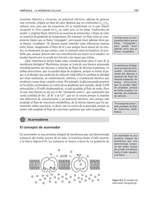 corriente eléctrica y, viceversa, un potencial eléctrico, además de generar
una corriente, origina un flujo de calor. Bastaría que los coeficientes L12
y L21
valieran cero, para que las ecuaciones (2) se transformen en el caso clásico
(ecuación 1). Pero cuando los Lij
no valen cero, se los llama “coeficientes de
acople” y originan flujos eléctricos en ausencia de potenciales, o flujos de calor
en ausencia de gradiente de temperatura. En resumen, un flujo tiene un com-
ponente clásico que se llama “conjugado”, pero puede tener además otros que
se llaman “acoplados”. El alumno puede entender estas influencias mutuas
entre flujos, imaginando el flujo de él y sus amigos hacia afuera de un esta-
dio, en momentos en que entran, o por el contrario salen los fanáticos. Es pro-
bable que, aunque quieran salir (su concentración sea mayor en el estadio), no
puedan hacerlo por su acople por fricción a las masas que entran.
¿Qué importancia tienen todas estas consideraciones para el caso de la
membrana biológica? Muchísima, porque se trata de una barrera atravesada
simultáneamente por decenas o centenas de flujos de diversas sustancias, en
ambas direcciones, que no pueden dejar de acoplarse, porque se frotan al pa-
sar, o al abordar una molécula de vehículo (vide infra) le cambian la afinidad
por otras sustancias, su conformación, etcétera, o el potencial eléctrico que
producen a unas atrae o repele a otras. Por ejemplo, la glucosa puede penetrar
en la célula y acumularse en contra de su gradiente (por ejemplo, desde 2 mM
extracelular a 10 mM citoplasmática), si está acoplada al flujo de sodio. Pero
el caso más famoso es tal vez el del “transporte activo”, que representa una
cierta cantidad de Na+
, de K+
o de Ca2+
, que no se mueve porque la impulse
una diferencia de concentración o un potencial eléctrico, sino porque está
acoplada al flujo de reacciones metabólicas, de la misma manera que los au-
tomóviles suben una loma, es decir, van en contra de la gravedad, porque su
motor está acoplado al flujo de reacciones químicas que sufre la gasolina.
El concepto de acarreador
Un acarreador es una proteína integral de membrana que une determinada
sustancia del medio acuoso de un lado, la transloca hasta el lado opuesto
y la libera (figura 6-9). La sustancia se mueve a favor de su gradiente de
CAPÍTULO 6 LA MEMBRANA CELULAR 161
Acarreadores
C1 C2
Figura 6-9. El modelo de
acarreador (ping-pong).
Un flujo tiene un com-
ponente clásico que se
llama “conjugado”,
pero puede tener
además otros que se
llaman “acoplados”.
La membrana biológi-
ca es una barrera atra-
vesada simultánea-
mente por decenas o
centenas de flujos de
diversas sustancias, en
ambas direcciones,
que no pueden dejar
de acoplarse, porque
se frotan al pasar, o al
abordar una molécula
de vehículo.
“El transporte activo”,
está acoplado al flujo
de reacciones meta-
bólicas.
Un acarreador es una
proteína integral de
membrana que une
determinada sustan-
cia del medio acuoso
de un lado, la transloca
hasta el lado opuesto
y la libera.
 