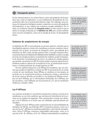 En los sistemas pasivos, los solutos fluyen a favor del gradiente electroquí-
mico que, como ya explicamos, es una combinación del gradiente de con-
centración (C) con el de potencial eléctrico (ψ). Sin embargo, otros sis-
temas de transportes biológicos pueden conducirse en contra del gradiente
electroquímico, lo que implica que requieren energía metabólica. Por lo
tanto, se consideran sistemas de transporte activo. Lo más común es que se
utilice la energía producida por la hidrólisis de ATP, pero existen también
otros recursos energéticos, como son la energía de la luz y la del gradiente
iónico.
Sistemas de acoplamiento de energía
La hidrólisis de ATP es esencialmente un proceso químico, mientras que la
movilidad de especies a través de la membrana es proceso mecánico (movi-
miento). Por lo tanto, un proceso de transporte activo, que depende de la
hidrólisis de ATP, acopla energía química libre a energía mecánica libre.
La proteína bacteriorrodopsina de Halobacterium halobium acopla la energía
de la luz a la energía mecánica. La fosforilación oxidativa acopla el transpor-
te de electrones, la translocación de iones y la captura de energía química
que permite una síntesis de ATP. En forma similar, el proceso general de fo-
tosíntesis acopla la captura de la energía de la luz, la translocación de pro-
tones y el almacenamiento de energía química en ATP.
En este capítulo trataremos a las ATPasas de membrana, que son enzi-
mas que acoplan la hidrólisis o síntesis de ATP al movimiento de un soluto
a través de una membrana. Estas ATPasas se clasifican en tres grupos, de
acuerdo con su composición proteica, localización celular y mecanismo
de acción como se describe en la tabla 6-1. Las familias de ATPasas conoci-
das son las P-ATPasas, por el intermediario fosforilado, las V-ATPasas, por
las vacuolares, y las F-ATPasas, por las porciones F0
y F1
que la constituyen
(Pedersen y Carafoli, 1987).
Las P-ATPasas
Las enzimas incluidas en esta familia transportan cationes a través de la
membrana, en un ciclo catalítico que involucra la fosforilación de la en-
zima en un residuo de aspartato. Otra característica común que distin-
gue a las P-ATPasas es el hecho que son inhibidas específicamente por
vanadato.
Algunas de las P-ATPasas están compuestas de un solo polipéptido de
alrededor de 100 kD, que hidroliza ATP y transporta cationes, como es el
caso de las Ca2+
-ATPasas de membrana plasmática y del retículo sarcoplás-
mico. Otras P-ATPasas contienen subunidades adicionales, como es el
caso de la Na+
, K+
-ATPasa y la H+
, K+
-ATPasa (subunidad β no catalítica).
CAPÍTULO 6 LA MEMBRANA CELULAR 169
Transporte activo
En los sistemas pasi-
vos, los solutos fluyen
a favor del gradiente
electroquímico.
El transporte activo se
conduce contra un gra-
diente electroquímico
y requiere energía.
Las ATPasas de mem-
brana, son enzimas que
acoplan la hidrólisis o
síntesis de ATP al mo-
vimiento de un soluto
a través de una mem-
brana.
Las P-ATPasas trans-
portan cationes a tra-
vés de la membrana,
en un ciclo catalítico
que involucra la fos-
forilación de la enzi-
ma en un residuo de
aspartato.
Un proceso de trans-
porte activo, que de-
pende de la hidrolísis
de ATP acopla energía
química libre a ener-
gía mecánica libre.
 