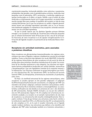 cuentemente pequeñas, incluyendo péptidos como oxitocina y vasopresina,
polipéptidos más grandes como la gonadotropina coriónica, moléculas muy
pequeñas como la adrenalina, ATP o serotonina, y moléculas orgánicas pe-
queñas involucradas en el olfato y el gusto. Debido a que el enlace de estas
moléculas es relativamente fuerte (en el rango nanomolar), no puede haber
mucha energía libre para cambiar el equilibrio del receptor en más de unas
cuantas kilocalorías, por lo que los receptores no unidos a ligando general-
mente tienen una actividad espontánea apreciable, esto es, no se encuen-
tran totalmente apagados; la rodopsina es una excepción, teniendo esencial-
mente cero de actividad espontánea.
Ya que se puede esperar que los distintos ligandos provean distintas
energías a sus receptores (variando de 2 kcal/mol para moléculas pequeñas
que se enlazan fuertemente hasta 50 kcal para la luz), una de las principa-
les funciones de estos receptores es la de igualar energéticamente la in-
teracción del ligando-receptor a la activación de las moléculas blanco inter-
medias.
Receptores sin actividad enzimática, pero asociados
a proteínas citosólicas
Estos receptores son glicoproteínas transmembranales con regiones extra-
celulares que unen al ligando y regiones citoplásmicas carentes de actividad
catalítica. Como se discutirá más adelante (ver vía de JAK/STAT), la función
de las regiones intracelulares de estos receptores es la de servir de sitios de
anclaje para otras proteínas citosólicas transductoras de la señal. Los recep-
tores de las citocinas pertenecen a esta categoría. Las citocinas son impor-
tantes factores polipeptídicos producidos por células linfoides, monocíticas
y hematopoyéticas y que son reguladores centrales de la respuesta inmune y
la inflamación. Las citocinas conforman un grupo heterogéneo que inclu-
ye a las interleucinas (IL), los interferones (IFN), los factores de necrosis
tumoral (TNF), la eritropoyetina, la hormona de crecimiento y la prolactina,
entre otros.
En base a la similitud estructural de las regiones extracelulares, estos
receptores se pueden agrupar en dos grandes subgrupos: el subgrupo
IL/IFN/eritropoyetina/hormona del crecimiento y el subgrupo del TNF. Los
miembros del primer subgrupo contienen dominios extracelulares simila-
res a fibronectina III y/o dominios similares a inmunoglobulinas. La carac-
terística unificadora de esta familia es la presencia de uno o dos dominios
de 200 aminoácidos, llamado SD200, formado a su vez por dos subdomi-
nios de 100 aminoácidos (figura 7-8). El complejo de la hormona de cre-
cimiento acoplada a su receptor es un ejemplo representativo de esta clase
de receptores y su estructura ha sido resuelta cristalográficamente. Este re-
ceptor contiene 7 tiras-β que forman una estructura como barril, similar a
la molécula de superficie CD4 y a la fibronectina tipo III. La estequiometría
de este complejo es 2:1, en la cual el receptor interactúa con el ligando
usando residuos similares. Las estructuras que definen a los miembros del
subgrupo del TNF están localizadas también en el dominio extracelular y
CAPÍTULO 7 TRANSDUCCIÓN DE SEÑALES 209
Las citocinas son impor-
tantes factores poli-
peptídicos producidos
por células linfoides,
monocíticas y hemato-
poyéticas y que son re-
guladores centrales de
la respuesta inmune
y la inflamación.
 