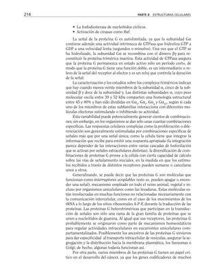 • La fosfodiesterasa de nucleótidos cíclicos.
• Activación de cinasas como Raf.
La señal de la proteína G es autolimitada, ya que la subunidad Gα
contiene además una actividad intrínseca de GTPasa que hidroliza GTP a
GDP a una velocidad lenta (segundos o minutos). Una vez que el GTP se
ha hidrolizado, la subunidad Gα se recombina con el dímero βγ para re-
constituir la proteína trimérica inactiva. Esta actividad de GTPasa asegura
que la proteína G permanezca en estado activo sólo un periodo corto, de
modo que la proteína G tiene una función doble, es un intermediario o re-
levo de la señal del receptor al efector y es un reloj que controla la duración
de la señal.
La caracterización y los estudios sobre los complejos triméricos indican
que hay cuando menos veinte miembros de la subunidad α, cinco de la sub-
unidad β y doce de la subunidad γ. Las distintas subunidades α, cuyo peso
molecular oscila entre 39 y 52 kDa comparten una homología estructural
entre 45 y 80% y han sido divididas en Gαs
, Gαi
, Gαq
y Gα12
, según si cada
uno de los miembros de estas subfamilias interacciona con diferentes mo-
léculas efectoras estimulando o inhibiendo su actividad.
Esta variabilidad puede potencialmente generar cientos de combinacio-
nes; sin embargo, en los organismos se dan sólo unas cuantas combinaciones
específicas. Las respuestas celulares complejas como la proliferación o dife-
renciación son generalmente estimuladas por combinaciones específicas de
señales más que por una señal única; como la célula tiene que integrar la
información que recibe para emitir una respuesta apropiada (la integración
parece depender de las interacciones entre varias cascadas de fosforilación
que se activan por señales extracelulares distintas), la diversificación de com-
binaciones de proteínas G provee a la célula con cierta capacidad de cálculo
sobre las vías de señalamiento iniciales, en la medida en que los estímu-
los recibidos a través de distintos receptores pueden sumarse o cancelarse
unos a otros.
Generalizando, se puede decir que las proteínas G son moléculas que
funcionan como interruptores acoplables (esto es, pueden apagar o encen-
der una señal), mecanismo empleado en todo el reino animal, vegetal e in-
cluso por organismos unicelulares como las levaduras. Estas moléculas es-
tán involucradas en muchas funciones no relacionadas necesariamente con
la comunicación intercelular, como en el caso de los movimientos de los
tRNA a lo largo de los sitios ribosomales A-P-E durante la traducción de las
proteínas. Las proteínas G heterotriméricas que participan en la transduc-
ción de señales son sólo una rama de la gran familia de proteínas que se
unen a nucleótidos de guanina. Al igual que sus receptores, las proteínas G
probablemente se originaron como parte de mecanismos homeostáticos
para regular actividades intracelulares en eucariontes unicelulares com-
partamentalizados. Posiblemente los ancestros de las proteínas G sirvieron
para dar especificidad al transporte intracelular de vesículas, asegurar la se-
gregación y la distribución hacia la membrana plasmática, los lisosomas o
Golgi; de hecho, algunas todavía funcionan así.
Por otra parte, varios miembros de las proteínas G tienen un papel crí-
tico en el desarrollo del cáncer, ya que los genes codificadores de muchos
214 PARTE II ESTRUCTURAS CELULARES
 