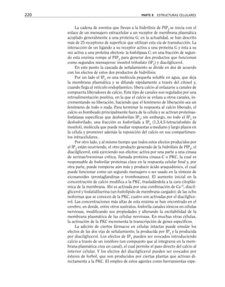 La cadena de eventos que llevan a la hidrólisis de PIP2
se inicia con el
enlace de un mensajero extracelular a un receptor de membrana plasmática
acoplado generalmente a una proteína G; en la actualidad, se han descrito
más de 25 receptores de superficie que utilizan esta vía de transducción. La
interacción de un ligando a su receptor activa a una proteína G y ésta a su
vez activa a una proteína efectora: la fosfolipasa C; en una fracción de segun-
do esta enzima rompe al PIP2
para generar dos productos que funcionan
como segundos mensajeros: inositol trifosfato (IP3
) y diacilglicerol.
En este punto la cascada de señalamiento se divide en dos de acuerdo
con los efectos de estos dos productos de hidrólisis:
Por un lado el IP3
es una molécula pequeña soluble en agua, que deja
la membrana plasmática y se difunde rápidamente a través del citosol y,
cuando llega al retículo endoplásmico, libera calcio al enlazarse a canales de
compuerta liberadores de calcio. Este tipo de canales son regulados por una
retroalimentación positiva, en la que el calcio se enlaza a otros canales, in-
crementando su liberación, haciendo que el fenómeno de liberación sea un
fenómeno de todo o nada. Para terminar la respuesta al calcio liberado, el
calcio es bombeado principalmente fuera de la célula y se activan proteínas-
fosfatasas específicas que desfosforilan IP3
; sin embargo, no todo el IP3
es
desfosforilado, una fracción es fosforilada a IP4
(1,3,4,5-tetracisfosfato de
inositol), molécula que puede mediar respuestas a mediano y largo plazos en
la célula y promover además la reposición del calcio en sus compartimen-
tos intracelulares.
Por otro lado, y al mismo tiempo que todos estos efectos producidos por
el IP3
están ocurriendo, el otro producto generado de la hidrólisis de PIP2
, el
diacilglicerol, está ejerciendo sus efectos: activa por una parte a una cinasa
de serinas/treoninas crítica, llamada proteína cinasa-C o PKC, la cual es
responsable de fosforilar proteínas clave en la respuesta celular final y, por
otra parte, puede romperse aún más y producir ácido araquidónico, el cual
puede funcionar como un segundo mensajero o ser usado en la síntesis de
eicosanoides (prostaglandinas y tromboxanos). El aumento inicial en la
concentración de calcio modifica a la PKC, trasladándola a la cara citoplás-
mica de la membrana. Ahí es activada por una combinación de Ca+2
, diacil-
glicerol y fosfatidilserina (un fosfolípido de membrana cargado); de las ocho
isoformas que se conocen de la PKC, cuatro son activadas por el diacilglice-
rol. Las concentraciones más altas de esta enzima se han encontrado en el
cerebro, en donde, entre otros sustratos, fosforila canales iónicos en células
nerviosas, modificando sus propiedades y alterando la excitabilidad de la
membrana plasmática de las células nerviosas. En muchas otras células,
la activación de la PKC incrementa la transcripción de genes específicos.
La adición de ciertos fármacos en células intactas puede emular los
efectos de las dos vías de señalamiento, la producida por IP3
y la producida
por diacilglicerol. Los efectos de IP3
pueden ser evocados introduciendo
calcio a través de un ionóforo (un compuesto que al integrarse en la mem-
brana plasmática crea un canal), el cual permite el paso directo del calcio al
interior celular. Y los efectos del diacilglicerol pueden ser evocados por
ésteres de forbol, que son producidos por ciertas plantas que activan di-
rectamente a la PKC. El empleo de estos agentes como herramientas expe-
220 PARTE II ESTRUCTURAS CELULARES
 