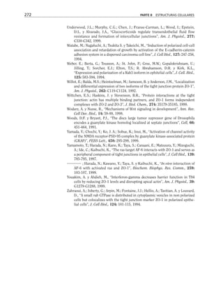 Underwood, J.L.; Murphy, C.G.; Chen, J.; Franse-Carman, L.; Wood, I.; Epstein,
D.L. y Alvarado, J.A., “Glucocorticoids regulate transendothelial fluid flow
resistance and formation of intercellular junctions”, Am. J. Physiol., 277:
C330-C342, 1999.
Watabe, M.; Nagafuchi, A.; Tsukita S. y Takeichi, M., “Induction of polarized cell-cell
association and retardation of growth by activation of the E-cadherin-catenin
adhesion system in a dispersed carcinoma cell line”, J. Cell Biol., 127: 247-256,
1994.
Weber, E.; Berta, G.; Tousson, A.; St. John, P.; Gree, M.W.; Gopalokrishnam, U.;
Jilling, T.; Sorcher, E.J.; Elton, T.S.; R. Abrahamson, D.R. y Kirk, K.L.,
“Expression and polarization of a Rab3 isoform in ephitelial cells”, J. Cell. Biol.,
125: 583-594, 1994.
Willot, E.; Balda, M.S.; Heintzelman, M.; Jameson, B. y Anderson, J.M., “Localization
and differential expression of two isoforms of the tight junction protein ZO-1”,
Am. J. Physiol., 262: C119-C1124, 1992.
Wittchen, E.S.; Haskins, J. y Stevenson, B.R., “Protein interactions at the tight
junction: actin has multiple binding partners, and ZO-1 forms independent
complexes with ZO-2 and ZO-3”, J. Biol. Chem., 274: 35179-35185, 1999.
Wodarz, A. y Nusse, R., “Mechanisms of Wnt signaling in development”, Ann. Rev.
Cell Dev. Biol., 14: 59-88, 1998.
Woods, D.F. y Bryant, P.J., “The discs large tumor supressor gene of Drosophila
encodes a guanylate kinase homolog localized at septate junctions”, Cell, 66:
451-464, 1991.
Yamada, Y.; Chochi, Y.; Ko, J. A.; Sobue, K.; Inui, M., “Activation of channel activity
of the NMDA receptor-PSD-95 complex by guanylate kinase-associated protein
(GKAP)”, FEBS Lett., 458: 295-298, 1999.
Yamamoto, T.; Harada, N.; Kano, K.; Taya, S.; Canaani, E.; Matsuura, Y.; Mizoguchi,
A.; Ide, C.; Kaibuchi, K., “The ras target AF-6 interacts with ZO-1 and serves as
a peripheral component of tight junctions in epithelial cells”, J. Cell Biol., 139:
785-795, 1997.
; Harada, N.; Kawano, Y.; Taya, S. y Kaibuchi, K., “In vivo interaction of
AF-6 with activated ras and ZO-1”, Biochem. Biophys. Res. Comm., 259:
103-107, 1999.
Youakim, A. y Ahdieh, M., “Interferon-gamma decreases barrier function in T84
cells by reducing ZO-1 levels and disrupting apical actin”, Am. J. Physiol., 39:
G1279-G1288, 1999.
Zahraoui, A.; Joberty, G.; Arpin, M.; Fontaine, J.J.; Hellio, A.; Tavitian, A. y Louvard,
D., “A small rab GTPase is distributed in cytoplasmic vesicles in non polarized
cells but colocalizes with the tight junction marker ZO-1 in polarized epithe-
lial cells”, J. Cell Biol., 124: 101-115, 1994.
272 PARTE II ESTRUCTURAS CELULARES
 