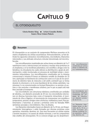 El citoesqueleto es un conjunto de componentes fibrilares presentes en la
matriz citoplásmica de células eucariónticas. Estructuralmente, se han de-
finido los siguientes elementos: microfilamentos, microtúbulos, filamentos
intermedios y una delicada estructura reticular denominada red microtra-
becular.
Los microfilamentos constituidos por actina tienen un diámetro de 5 a 7
nanómetros (nm) e interaccionan con miosina y muchas otras proteínas en
el citoplasma y en la membrana plasmática; son sensibles a drogas como la
faloidina y la citocalasina las cuales alteran su distribución y grado de poli-
merización y están involucrados en procesos de motilidad celular y movi-
mientos intracelulares. Los microfilamentos constituidos por la miosina
convencional o miosina II tienen un diámetro variable de alrededor de 15
nm y participan en fenómenos de contracción como es el caso de los sarcó-
meros de distintos tipos de músculos y del anillo contráctil que se forma
durante la citocinesis y en la zona basolateral de las células epiteliales. Las
miosinas I o no convencionales no forman filamentos y se asocian a la ac-
tina y a las vesículas o membranas celulares, por lo que su papel está más
bien asociado al transporte.
Los microtúbulos son estructuras tubulares constituidas por unidades
de tubulina, con diámetro promedio de 25 nm. Los microtúbulos intervie-
nen en diversas funciones tales como el transporte intracelular, el movi-
miento de cilios y flagelos y el movimiento de cromosomas; son sensibles a
temperatura, presión y drogas como colchicina, vinblastina y taxol. Para po-
limerizarse y funcionar, se asocian a proteínas como las llamadas MAPs
(proteínas asociadas a microtúbulos), Tau y la dinaína.
Los filamentos intermedios tienen un diámetro de 8 a 10 nm, son bioquí-
micamente heterogéneos y están formados por diversas proteínas como
queratina, vimentina, desmina, etc. Son muy frecuentes en células sujetas
a tensión mecánica y en axones de células nerviosas, y son los componentes
más estables del citoesqueleto. No se conocen drogas que los despolimeri-
273
EL CITOESQUELETO
CAPÍTULO 9
Gloria Benítez King ■ Arturo González Robles
Isaura Meza Gómez-Palacio
Resumen
Los microfilamentos
constituidos por actina
tienen un diámetro de
5 a 7 nanómetros (nm).
Los microtúbulos son
estructuras tubulares
constituidas por uni-
dades de tubulina,
con diámetro prome-
dio de 25 nm.
Los filamentos inter-
medios tienen un diá-
metro de 8 a 10 nm, y
están formados por
diversas proteínas co-
mo queratina, vimen-
tina, desmina, etc.
 