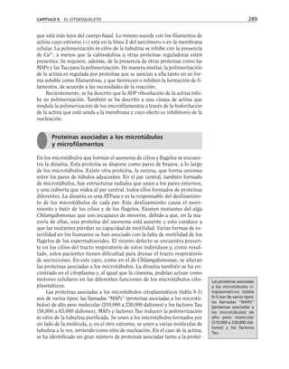 que está más lejos del cuerpo basal. Lo mismo sucede con los filamentos de
actina cuyo extremo (+) está en la línea Z del sarcómero o en la membrana
celular. La polimerización in vitro de la tubulina se inhibe con la presencia
de Ca2+
, a menos que la calmodulina u otras proteínas reguladoras estén
presentes. Se requiere, además, de la presencia de otras proteínas como las
MAPs y las Tau para la polimerización. De manera similar, la polimerización
de la actina es regulada por proteínas que se asocian a ella tanto en su for-
ma soluble como filamentosa, y que favorecen o inhiben la formación de fi-
lamentos, de acuerdo a las necesidades de la reacción.
Recientemente, se ha descrito que la ADP ribosilación de la actina inhi-
be su polimerización. También se ha descrito a una cinasa de actina que
modula la polimerización de los microfilamentos a través de la fosforilación
de la actina que está unida a la membrana y cuyo efecto es inhibitorio de la
nucleación.
En los microtúbulos que forman el axonema de cilios y flagelos se encuen-
tra la dinaína. Esta proteína se dispone como pares de brazos, a lo largo
de los microtúbulos. Existe otra proteína, la nexina, que forma uniones
entre los pares de túbulos adyacentes. En el par central, también formado
de microtúbulos, hay estructuras radiales que unen a los pares externos,
y una cubierta que rodea al par central, todos ellos formados de proteínas
diferentes. La dinaína es una ATPasa y es la responsable del deslizamien-
to de los microtúbulos de cada par. Este deslizamiento causa el movi-
miento y batir de los cilios y de los flagelos. Existen mutantes del alga
Chlamydomonas que son incapaces de moverse, debido a que, en la ma-
yoría de ellas, una proteína del axonema está ausente y esto conduce a
que las mutantes pierdan su capacidad de motilidad. Varias formas de es-
terilidad en los humanos se han asociado con la falta de motilidad de los
flagelos de los espermatozoides. El mismo defecto se encuentra presen-
te en los cilios del tracto respiratorio de estos individuos y, como resul-
tado, estos pacientes tienen dificultad para drenar el tracto respiratorio
de secreciones. En este caso, como en el de Chlamydomonas, se alteran
las proteínas asociadas a los microtúbulos. La dinaína también se ha en-
contrado en el citoplasma y, al igual que la cinesina, podrían actuar como
motores celulares en las diferentes funciones de los microtúbulos cito-
plasmáticos.
Las proteínas asociadas a los microtúbulos citoplasmáticos (tabla 9-1)
son de varios tipos: las llamadas “MAPs” (proteínas asociadas a los microtú-
bulos) de alto peso molecular (210,000 a 230,000 daltones) y los factores Tau
(58,000 a 65,000 daltones). MAPs y factores Tau inducen la polimerización
in vitro de la tubulina purificada. Se unen a los microtúbulos formados por
un lado de la molécula, y, en el otro extremo, se unen a varias moléculas de
tubulina a la vez, sirviendo como sitio de nucleación. En el caso de la actina,
se ha identificado un gran número de proteínas asociadas tanto a la proteí-
CAPÍTULO 9 EL CITOESQUELETO 289
Proteínas asociadas a los microtúbulos
y microfilamentos
Las proteínas asociadas
a los microtúbulos ci-
toplasmáticos (tabla
9-1) son de varios tipos:
las llamadas “MAPs”
(proteínas asociadas a
los microtúbulos) de
alto peso molecular
(210,000 a 230,000 dal-
tones) y los factores
Tau.
 