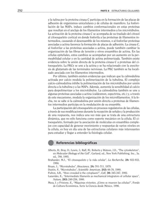 y la talina por la proteína cinasa C participa en la formación de las placas de
adhesión de organismos unicelulares y de células de mamífero. La fosfori-
lación de las MAPs, induce cambios conformacionales en estas proteínas
que resultan en el anclaje de los filamentos intermedios a los microtúbulos.
La activación de la proteína cinasa C se acompaña de su traslado del citosol
al citoesqueleto cortical en donde fosforila a las proteínas de filamentos in-
termedios, causando el desensamble de los mismos, o al fosforilar proteínas
asociadas a actina favorece la formación de placas de adhesión. La cinasa C,
al fosforilar a las proteínas asociadas a actina, puede también cambiar la
organización de las fibras de tensión y otros ensambles de actina. En las
células epiteliales, estos cambios se acompañan por un aumento en la per-
meabilidad celular y en la cantidad de actina polimerizada. También existe
evidencia sobre la unión directa de la proteína cinasa C a proteínas del ci-
toesqueleto. La PKCε se une a la actina y se ha relacionado con la exocito-
sis de glutamato de las terminales nerviosas. La PKC también se ha locali-
zado asociada con los filamentos intermedios.
Por último, también existen evidencias que indican que la calmodulina
activada por calcio modula la polimerización de la tubulina. El complejo
calcio-calmodulina inhibe la polimerización de los microtúbulos por unión
directa a la tubulina y a las MAPs. Además, aumenta la sensibilidad al calcio
para despolimerizar a los microtúbulos. La calmodulina también se une a
algunas proteínas asociadas a actina (caldesmon, espectrina, etc.) y, a través
de este mecanismo, modula la organización de los microfilamentos. A la fe-
cha, no se sabe si la calmodulina por unión directa a proteínas de filamen-
tos intermedios participa en la modulación de su ensamble.
La participación del citoesqueleto en procesos regulatorios de las células,
a través de sus modificaciones durante la recepción de señales y la producción
de una respuesta, nos indica una vez más que se trata de una estructura
dinámica, que no sólo funciona como soporte mecánico en la célula. El ci-
toesqueleto, formado por la asociación de moléculas en ensambles comple-
jos con capacidad de generar movimiento y respuestas de varios niveles en
la célula, es hoy en día una de las estructuras celulares más interesantes
para estudiar y llegar a entender la fisiología celular.
Alberts, B.; Bray, D.; Lewis, J.; Raff, M.; Roberts y Watson, J.D., “The cytoskeleton”,
en Molecular Biology of the Cell”, Garland, ed., New York Publishing, Inc., 3a.
ed., 788, 1995.
Brabander, M.J., “El citoesqueleto y la vida celular”, La Recherche, 28: 922-933,
1984.
Bryan, J., “Microtubules”, Bioscience, 24: 701-711, 1979.
Dustin, P., “Microtubules”, Scientific American, 243: 66-76, 1980.
Fulton, A.B., “How crowded is the cytoplasm?”, Cell, 30: 345-347, 1982.
Lazarides, E., “Intermediate filaments as mechanical integrators of cellular space”,
Nature, 283: 249-256, 1980.
Meza, I. y Frixione, E., “Máquinas vivientes. ¿Cómo se mueven las células?”, Fondo
de Cultura Económica, Serie la Ciencia desde México, 1996.
292 PARTE II ESTRUCTURAS CELULARES
Referencias bibliográficas
 