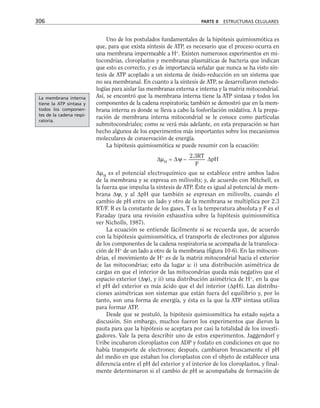 Uno de los postulados fundamentales de la hipótesis quimiosmótica es
que, para que exista síntesis de ATP, es necesario que el proceso ocurra en
una membrana impermeable a H+
. Existen numerosos experimentos en mi-
tocondrias, cloroplastos y membranas plasmáticas de bacteria que indican
que esto es correcto, y es de importancia señalar que nunca se ha visto sín-
tesis de ATP acoplado a un sistema de óxido-reducción en un sistema que
no sea membranal. En cuanto a la síntesis de ATP, se desarrollaron metodo-
logías para aislar las membranas externa e interna y la matriz mitocondrial.
Así, se encontró que la membrana interna tiene la ATP sintasa y todos los
componentes de la cadena respiratoria; también se demostró que en la mem-
brana interna es donde se lleva a cabo la fosforilación oxidativa. A la prepa-
ración de membrana interna mitocondrial se le conoce como partículas
submitocondriales; como se verá más adelante, en esta preparación se han
hecho algunos de los experimentos más importantes sobre los mecanismos
moleculares de conservación de energía.
La hipótesis quimiosmótica se puede resumir con la ecuación:
∆µH
= ∆ψ – ∆pH
∆µH
es el potencial electroquímico que se establece entre ambos lados
de la membrana y se expresa en milivolts; y, de acuerdo con Mitchell, es
la fuerza que impulsa la síntesis de ATP. Éste es igual al potencial de mem-
brana ∆ψ, y al ∆pH que también se expresan en milivolts, cuando el
cambio de pH entre un lado y otro de la membrana se multiplica por 2.3
RT/F. R es la constante de los gases, T es la temperatura absoluta y F es el
Faraday (para una revisión exhaustiva sobre la hipótesis quimiosmótica
ver Nicholls, 1987).
La ecuación se entiende fácilmente si se recuerda que, de acuerdo
con la hipótesis quimiosmótica, el transporte de electrones por algunos
de los componentes de la cadena respiratoria se acompaña de la transloca-
ción de H+
de un lado a otro de la membrana (figura 10-6). En las mitocon-
drias, el movimiento de H+
es de la matriz mitocondrial hacia el exterior
de las mitocondrias; esto da lugar a: i) una distribución asimétrica de
cargas en que el interior de las mitocondrias queda más negativo que el
espacio exterior (∆ψ), y ii) una distribución asimétrica de H+
, en la que
el pH del exterior es más ácido que el del interior (∆pH). Las distribu-
ciones asimétricas son sistemas que están fuera del equilibrio y, por lo
tanto, son una forma de energía, y ésta es la que la ATP sintasa utiliza
para formar ATP.
Desde que se postuló, la hipótesis quimiosmótica ha estado sujeta a
discusión. Sin embargo, muchos fueron los experimentos que dieron la
pauta para que la hipótesis se aceptara por casi la totalidad de los investi-
gadores. Vale la pena describir uno de estos experimentos. Jaggendorf y
Uribe incubaron cloroplastos con ADP y fosfato en condiciones en que no
había transporte de electrones; después, cambiaron bruscamente el pH
del medio en que estaban los cloroplastos con el objeto de establecer una
diferencia entre el pH del exterior y el interior de los cloroplastos, y final-
mente determinaron si el cambio de pH se acompañaba de formación de
2.3RT
–––––––
F
306 PARTE II ESTRUCTURAS CELULARES
La membrana interna
tiene la ATP sintasa y
todos los componen-
tes de la cadena respi-
ratoria.
 