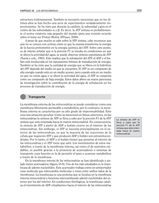 estructura tridimensional. También es necesario mencionar que en los úl-
timos años se han hecho una serie de experimentos verdaderamente im-
presionantes. Se ha visto que durante la catálisis, la subunidad γ gira en el
centro de las subunidades α y β. Es decir, la ATP sintasa es probablemen-
te el motor rotatorio más pequeño del mundo (para una revisión reciente
sobre el tema ver Proton Motive ATPases, 2000).
A pesar de que mucho se sabe sobre la ATP sintasa, cabe reconocer que
aún no se conoce con certeza cómo es que la enzima transforma la energía
de la fuerza protomotriz en la energía química del ATP. Sobre este punto,
es de interés señalar que si la porción F1 se incuba en condiciones en que
se altera la actividad del agua, se puede observar síntesis espontánea de ATP
(Tuena y cols., 1993). Esto implica que la solvatación del ATP, el ADP y el fos-
fato está involucrada en los mecanismos íntimos de transducción de energía.
También se ha visto que la cantidad de energía que se libera en la hidrólisis
del ATP depende del medio en que se encuentra. El ATP es un compuesto de
alta energía cuando está en un medio acuoso, pero cuando está en un medio
en que no existe agua o se altera la actividad del agua, el ATP se comporta
como un compuesto de baja energía. Estos datos abren un nuevo panorama
de investigación sobre la contribución de la energía de solvatación en los
procesos de transducción de energía.
La membrana externa de las mitocondrias se puede considerar como una
membrana libremente permeable a metabolitos; por lo contrario, la mem-
brana interna se caracteriza por su alto grado de impermeabilidad. Esto
crea una situación peculiar. Como se mencionó en líneas anteriores, en las
mitocondrias la síntesis de ATP se lleva a cabo por la porción F1 de la ATP
sintasa que está orientada hacia la matriz mitocondrial. En consecuencia,
la síntesis de ATP a partir de ADP y fosfato ocurre en el interior de las
mitocondrias. Sin embargo, el ATP se necesita principalmente en el ex-
terior de las mitocondrias, ya que la mayoría de las reacciones de la
célula que requieren ATP y que producen ADP y fosfato son extramitocon-
driales. Por lo tanto, el ADP y el fosfato tienen que penetrar al interior de
las mitocondrias y el ATP tiene que salir. Los movimientos de estos me-
tabolitos, a través de la membrana interna, así como el de sustratos oxi-
dables, es posible gracias a la presencia de acarreadores o sistemas de
transporte cuya función es la de permitir el paso o acarrear metabolitos
a través de la membrana.
En la membrana interna de las mitocondrias se han identificado y ais-
lado varios acarreadores (figura 10-8). Uno de los más estudiados es la trans-
locasa de adenín nucleótidos. Este acarreador trabaja como un antiportador
(una molécula que intercambia moléculas o iones entre ambos lados de la
membrana). La translocasa es una proteína que se localiza en la membrana
interna mitocondrial y funciona intercambiando adenín nucleótidos del ex-
terior por los del interior. En condiciones fisiológicas, la translocasa catali-
za el movimiento de ADP citoplásmico hacia el interior de las mitocondrias
CAPÍTULO 10 LAS MITOCONDRIAS 309
Transporte
La síntesis de ATP se
lleva a cabo por la
porción F1 de la ATP
sintasa que está orien-
tada hacia la matriz
mitocondrial.
 