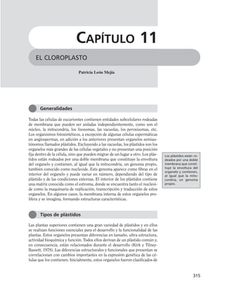 Todas las células de eucariontes contienen entidades subcelulares rodeadas
de membrana que pueden ser aisladas independientemente, como son el
núcleo, la mitocondria, los lisosomas, las vacuolas, los peroxisomas, etc.
Los organismos fotosintéticos, a excepción de algunas células espermáticas
en angiospermas, en adición a los anteriores presentan organelos semiau-
tónomos llamados plástidos. Excluyendo a las vacuolas, los plástidos son los
organelos más grandes de las células vegetales y no presentan una posición
fija dentro de la célula, sino que pueden migrar de un lugar a otro. Los plás-
tidos están rodeados por una doble membrana que constituye la envoltura
del organelo y contienen, al igual que la mitocondria, un genoma propio,
también conocido como nucleoide. Este genoma aparece como fibras en el
interior del organelo y puede variar en número, dependiendo del tipo de
plástido y de las condiciones externas. El interior de los plástidos contiene
una matriz conocida como el estroma, donde se encuentra tanto el nucleoi-
de como la maquinaria de replicación, transcripción y traducción de estos
organelos. En algunos casos, la membrana interna de estos organelos pro-
lifera y se invagina, formando estructuras características.
Las plantas superiores contienen una gran variedad de plástidos y en ellos
se realizan funciones esenciales para el desarrollo y la funcionalidad de las
plantas. Estos organelos presentan diferencias en tamaño, ultra estructura,
actividad bioquímica y función. Todos ellos derivan de un plástido común y,
en consecuencia, están relacionados durante el desarrollo (Kirk y Tilney-
Bassett, 1978). Las diferencias estructurales y funcionales que presentan se
correlacionan con cambios importantes en la expresión genética de las cé-
lulas que los contienen. Inicialmente, estos organelos fueron clasificados de
315
EL CLOROPLASTO
CAPÍTULO 11
Patricia León Mejía
Generalidades
Tipos de plástidos
Los plástidos están ro-
deados por una doble
membrana que consti-
tuye la envoltura del
organelo y contienen,
al igual que la mito-
condria, un genoma
propio.
 