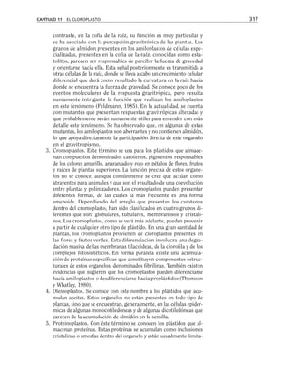 contraste, en la cofia de la raíz, su función es muy particular y
se ha asociado con la percepción gravitrópica de las plantas. Los
granos de almidón presentes en los amiloplastos de células espe-
cializadas, presentes en la cofia de la raíz, conocidas como esta-
tolitos, parecen ser responsables de percibir la fuerza de gravedad
y orientarse hacia ella. Esta señal posteriormente es transmitida a
otras células de la raíz, donde se lleva a cabo un crecimiento celular
diferencial que dará como resultado la curvatura en la raíz hacia
donde se encuentra la fuerza de gravedad. Se conoce poco de los
eventos moleculares de la respuesta gravitrópica, pero resulta
sumamente intrigante la función que realizan los amiloplastos
en este fenómeno (Feldmann, 1985). En la actualidad, se cuenta
con mutantes que presentan respuestas gravitrópicas alteradas y
que probablemente serán sumamente útiles para entender con más
detalle este fenómeno. Se ha observado que, en algunas de estas
mutantes, los amiloplastos son aberrantes y no contienen almidón,
lo que apoya directamente la participación directa de este organelo
en el gravitropismo.
3. Cromoplastos. Este término se usa para los plástidos que almace-
nan compuestos denominados carotenos, pigmentos responsables
de los colores amarillo, anaranjado y rojo en pétalos de flores, frutos
y raíces de plantas superiores. La función precisa de estos organe-
los no se conoce, aunque comúnmente se cree que actúan como
atrayentes para animales y que son el resultado de una coevolución
entre plantas y polinizadores. Los cromoplastos pueden presentar
diferentes formas, de las cuales la más frecuente es una forma
ameboide. Dependiendo del arreglo que presentan los carotenos
dentro del cromoplasto, han sido clasificados en cuatro grupos di-
ferentes que son: globulares, tubulares, membranosos y cristali-
nos. Los cromoplastos, como se verá más adelante, pueden provenir
a partir de cualquier otro tipo de plástido. En una gran cantidad de
plantas, los cromoplastos provienen de cloroplastos presentes en
las flores y frutos verdes. Esta diferenciación involucra una degra-
dación masiva de las membranas tilacoideas, de la clorofila y de los
complejos fotosintéticos. En forma paralela existe una acumula-
ción de proteínas específicas que constituyen componentes estruc-
turales de estos organelos, denominados fibrilinas. También existen
evidencias que sugieren que los cromoplastos pueden diferenciarse
hacia amiloplastos o desdiferenciarse hacia proplástidos (Thomson
y Whatley, 1980).
4. Oleinoplastos. Se conoce con este nombre a los plástidos que acu-
mulan aceites. Estos organelos no están presentes en todo tipo de
plantas, sino que se encuentran, generalmente, en las células epidér-
micas de algunas monocotiledóneas y de algunas dicotiledóneas que
carecen de la acumulación de almidón en la semilla.
5. Proteinoplastos. Con éste término se conocen los plástidos que al-
macenan proteínas. Estas proteínas se acumulan como inclusiones
cristalinas o amorfas dentro del organelo y están usualmente limita-
CAPÍTULO 11 EL CLOROPLASTO 317
 