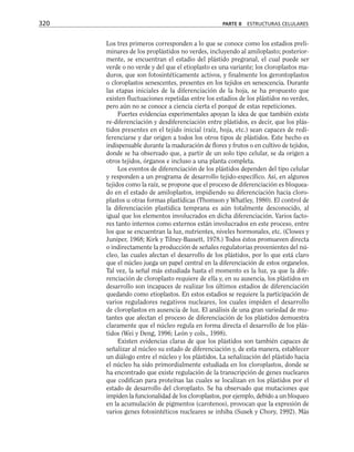 Los tres primeros corresponden a lo que se conoce como los estadios preli-
minares de los proplástidos no verdes, incluyendo al amiloplasto; posterior-
mente, se encuentran el estadio del plástido pregranal, el cual puede ser
verde o no verde y del que el etioplasto es una variante; los cloroplastos ma-
duros, que son fotosintéticamente activos, y finalmente los gerontoplastos
o cloroplastos senescentes, presentes en los tejidos en senescencia. Durante
las etapas iniciales de la diferenciación de la hoja, se ha propuesto que
existen fluctuaciones repetidas entre los estadios de los plástidos no verdes,
pero aún no se conoce a ciencia cierta el porqué de estas repeticiones.
Fuertes evidencias experimentales apoyan la idea de que también existe
re-diferenciación y desdiferenciación entre plástidos, es decir, que los plás-
tidos presentes en el tejido inicial (raíz, hoja, etc.) sean capaces de redi-
ferenciarse y dar origen a todos los otros tipos de plástidos. Este hecho es
indispensable durante la maduración de flores y frutos o en cultivo de tejidos,
donde se ha observado que, a partir de un solo tipo celular, se da origen a
otros tejidos, órganos e incluso a una planta completa.
Los eventos de diferenciación de los plástidos dependen del tipo celular
y responden a un programa de desarrollo tejido-específico. Así, en algunos
tejidos como la raíz, se propone que el proceso de diferenciación es bloquea-
do en el estado de amiloplastos, impidiendo su diferenciación hacia cloro-
plastos u otras formas plastídicas (Thomson y Whatley, 1980). El control de
la diferenciación plastídica temprana es aún totalmente desconocido, al
igual que los elementos involucrados en dicha diferenciación. Varios facto-
res tanto internos como externos están involucrados en este proceso, entre
los que se encuentran la luz, nutrientes, niveles hormonales, etc. (Clowes y
Juniper, 1968; Kirk y Tilney-Bassett, 1978.) Todos éstos promueven directa
o indirectamente la producción de señales regulatorias provenientes del nú-
cleo, las cuales afectan el desarrollo de los plástidos, por lo que está claro
que el núcleo juega un papel central en la diferenciación de estos organelos.
Tal vez, la señal más estudiada hasta el momento es la luz, ya que la dife-
renciación de cloroplasto requiere de ella y, en su ausencia, los plástidos en
desarrollo son incapaces de realizar los últimos estadios de diferenciación
quedando como etioplastos. En estos estadios se requiere la participación de
varios reguladores negativos nucleares, los cuales impiden el desarrollo
de cloroplastos en ausencia de luz. El análisis de una gran variedad de mu-
tantes que afectan el proceso de diferenciación de los plástidos demuestra
claramente que el núcleo regula en forma directa el desarrollo de los plás-
tidos (Wei y Deng, 1996; León y cols., 1998).
Existen evidencias claras de que los plástidos son también capaces de
señalizar al núcleo su estado de diferenciación y, de esta manera, establecer
un diálogo entre el núcleo y los plástidos. La señalización del plástido hacia
el núcleo ha sido primordialmente estudiada en los cloroplastos, donde se
ha encontrado que existe regulación de la transcripción de genes nucleares
que codifican para proteínas las cuales se localizan en los plástidos por el
estado de desarrollo del cloroplasto. Se ha observado que mutaciones que
impiden la funcionalidad de los cloroplastos, por ejemplo, debido a un bloqueo
en la acumulación de pigmentos (carotenos), provocan que la expresión de
varios genes fotosintéticos nucleares se inhiba (Susek y Chory, 1992). Más
320 PARTE II ESTRUCTURAS CELULARES
 