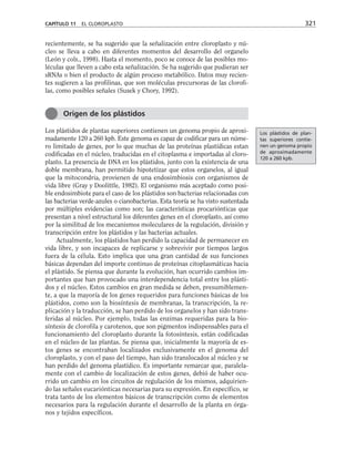 recientemente, se ha sugerido que la señalización entre cloroplasto y nú-
cleo se lleva a cabo en diferentes momentos del desarrollo del organelo
(León y cols., 1998). Hasta el momento, poco se conoce de las posibles mo-
léculas que lleven a cabo esta señalización. Se ha sugerido que pudieran ser
sRNAs o bien el producto de algún proceso metabólico. Datos muy recien-
tes sugieren a las profilinas, que son moléculas precursoras de las clorofi-
las, como posibles señales (Susek y Chory, 1992).
Los plástidos de plantas superiores contienen un genoma propio de aproxi-
madamente 120 a 260 kpb. Este genoma es capaz de codificar para un núme-
ro limitado de genes, por lo que muchas de las proteínas plastídicas estan
codificadas en el núcleo, traducidas en el citoplasma e importadas al cloro-
plasto. La presencia de DNA en los plástidos, junto con la existencia de una
doble membrana, han permitido hipotetizar que estos organelos, al igual
que la mitocondria, provienen de una endosimbiosis con organismos de
vida libre (Gray y Doolittle, 1982). El organismo más aceptado como posi-
ble endosimbiote para el caso de los plástidos son bacterias relacionadas con
las bacterias verde-azules o cianobacterias. Esta teoría se ha visto sustentada
por múltiples evidencias como son; las características procariónticas que
presentan a nivel estructural los diferentes genes en el cloroplasto, así como
por la similitud de los mecanismos moleculares de la regulación, división y
transcripción entre los plástidos y las bacterias actuales.
Actualmente, los plástidos han perdido la capacidad de permanecer en
vida libre, y son incapaces de replicarse y sobrevivir por tiempos largos
fuera de la célula. Esto implica que una gran cantidad de sus funciones
básicas dependan del importe continuo de proteínas citoplasmáticas hacia
el plástido. Se piensa que durante la evolución, han ocurrido cambios im-
portantes que han provocado una interdependencia total entre los plásti-
dos y el núcleo. Estos cambios en gran medida se deben, presumiblemen-
te, a que la mayoría de los genes requeridos para funciones básicas de los
plástidos, como son la biosíntesis de membranas, la transcripción, la re-
plicación y la traducción, se han perdido de los organelos y han sido trans-
feridas al núcleo. Por ejemplo, todas las enzimas requeridas para la bio-
síntesis de clorofila y carotenos, que son pigmentos indispensables para el
funcionamiento del cloroplasto durante la fotosíntesis, están codificadas
en el núcleo de las plantas. Se piensa que, inicialmente la mayoría de es-
tos genes se encontraban localizados exclusivamente en el genoma del
cloroplasto, y con el paso del tiempo, han sido translocados al núcleo y se
han perdido del genoma plastídico. Es importante remarcar que, paralela-
mente con el cambio de localización de estos genes, debió de haber ocu-
rrido un cambio en los circuitos de regulación de los mismos, adquirien-
do las señales eucariónticas necesarias para su expresión. En específico, se
trata tanto de los elementos básicos de transcripción como de elementos
necesarios para la regulación durante el desarrollo de la planta en órga-
nos y tejidos específicos.
CAPÍTULO 11 EL CLOROPLASTO 321
Origen de los plástidos
Los plástidos de plan-
tas superiores contie-
nen un genoma propio
de aproximadamente
120 a 260 kpb.
 