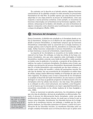 En contraste con lo descrito en el párrafo anterior, algunas funciones
características de los plástidos actuales no están presentes en procariontes
fotosintéticos de vida libre. Es posible suponer que estas funciones fueron
adquiridas en una etapa posterior al proceso de endosimbiosis, como una
respuesta a nuevas presiones evolutivas. Como ejemplo, se encuentran las
funciones relacionadas con la biosíntesis de las hormonas vegetales, la bio-
síntesis y almacenaje de los lípidos y del almidón, así como la biosíntesis de
algunos compuestos como atractores para la polinización y para respuesta
a ataque de pátogenos (Mullet, 1990).
Hasta el momento, el plástido más estudiado es el cloroplasto donde se rea-
liza la fotosíntesis. Aunque no es el objetivo de este capítulo describir en
detalle el proceso fotosintético, es importante remarcar que las funciones
fotosintéticas comprenden tanto la conversión de la energía luminosa en
energía química como la fijación del CO2
atmosférico en moléculas carbo-
nadas. Ambas funciones comprenden el proceso fotosintético y se dividen
en fases luminosa y oscura de la fotosíntesis, respectivamente.
La mayoría de los cloroplastos se encuentra en los tejidos verdes, en
especial en las hojas. Sin embargo, no todas las células de las hojas con-
tienen cloroplastos, sino que estos organelos están restringidos al tejido
fotosintético, también conocido como tejido del mesófilo, y están ausentes
en tejidos como la epidermis y la cutícula, a excepción de las células esto-
máticas, las cuales sí contienen cloroplastos. En plantas como el maíz, que
realizan una derivación del proceso fotosintético denominado fotosíntesis
tipo C4, el tejido fotosintético está constituido por dos tipos celulares, co-
nocidos como células del mesófilo y células del parénquima vascular. En
este tipo de plantas, hay una acumulación de cloroplastos en ambos tipos
de células, aunque existen diferencias notables en el fenotipo de cada uno de
estos organelos. En plantas como el maíz el desarrollo de los cloroplastos
va acoplado al desarrollo del tejido fotosintético; de esta manera es posible
distinguir en una hoja un gradiente progresivo de diferenciación entre los
cloroplastos entre las células más jóvenes o las más viejas. Este gradiente
se ve reflejado no sólo a nivel estructural, sino también a nivel bioquími-
co, de tal manera que los cloroplastos con mayor capacidad fotosintética se
encuentran concentrados en las células maduras de la hoja (Langlade y
cols., 1988).
Como se mencionó en párrafos anteriores, los cloroplastos al igual
que otro tipo de plástidos, derivan de proplástidos no diferenciados. Du-
rante el proceso de diferenciación hacia cloroplasto, existe una gran
proliferación de la membrana interna, de modo que se forma lo que se
conoce como tilacoides. Inicialmente, los tilacoides derivan de la invagi-
nación de la membrana interna; sin embargo, a medida que los cloro-
plastos maduran, los tilacoides aumentan en número, a partir de la pro-
liferación de los tilacoides iniciales. La membrana tilacoidea sufre un
arreglo complejo formando sacos en forma de discos que se apilan unos
322 PARTE II ESTRUCTURAS CELULARES
Estructura del cloroplasto
La membrana tilacoi-
dea sufre un arreglo
complejo formando
sacos en forma de dis-
cos que se apilan unos
con otros y que se co-
nocen como grana.
 