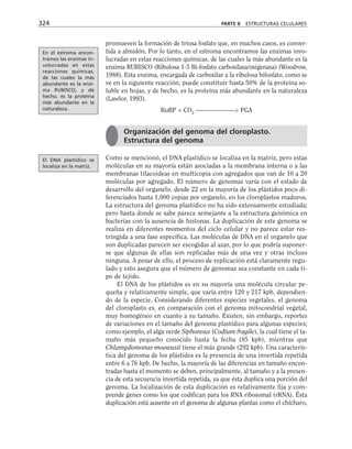 promueven la formación de triosa fosfato que, en muchos casos, es conver-
tida a almidón. Por lo tanto, en el estroma encontramos las enzimas invo-
lucradas en estas reacciones químicas, de las cuales la más abundante es la
enzima RUBISCO (Ribulosa 1-5 Bi-fosfato carboxilasa/oxigenasa) (Woodrow,
1988). Esta enzima, encargada de carboxilar a la ribulosa bifosfato, como se
ve en la siguiente reacción, puede constituir hasta 50% de la proteína so-
luble en hojas, y de hecho, es la proteína más abundante en la naturaleza
(Lawlor, 1993).
RuBP + CO2
——————- PGA
Como se mencionó, el DNA plastídico se localiza en la matriz, pero estas
moléculas en su mayoría están asociadas a la membrana interna o a las
membranas tilacoideas en multicopia con agregados que van de 10 a 20
moléculas por agregado. El número de genomas varía con el estado de
desarrollo del organelo, desde 22 en la mayoría de los plástidos poco di-
ferenciados hasta 1,000 copias por organelo, en los cloroplastos maduros.
La estructura del genoma plastídico no ha sido extensamente estudiada;
pero hasta donde se sabe parece semejante a la estructura genómica en
bacterias con la ausencia de histonas. La duplicación de este genoma se
realiza en diferentes momentos del ciclo celular y no parece estar res-
tringida a una fase específica. Las moléculas de DNA en el organelo que
son duplicadas parecen ser escogidas al azar, por lo que podría suponer-
se que algunas de ellas son replicadas más de una vez y otras incluso
ninguna. A pesar de ello, el proceso de replicación está claramente regu-
lado y esto asegura que el número de genomas sea constante en cada ti-
po de tejido.
El DNA de los plástidos es en su mayoría una molécula circular pe-
queña y relativamente simple, que varía entre 120 y 217 kpb, dependien-
do de la especie. Considerando diferentes especies vegetales, el genoma
del cloroplasto es, en comparación con el genoma mitocondrial vegetal,
muy homogéneo en cuanto a su tamaño. Existen, sin embargo, reportes
de variaciones en el tamaño del genoma plastídico para algunas especies;
como ejemplo, el alga verde Siphonous (Codium fragile), la cual tiene el ta-
maño más pequeño conocido hasta la fecha (85 kpb), mientras que
Chlamydomonas moewusii tiene el más grande (292 kpb). Una caracterís-
tica del genoma de los plástidos es la presencia de una invertida repetida
entre 6 a 76 kpb. De hecho, la mayoría de las diferencias en tamaño encon-
tradas hasta el momento se deben, principalmente, al tamaño y a la presen-
cia de esta secuencia invertida repetida, ya que ésta duplica una porción del
genoma. La localización de esta duplicación es relativamente fija y com-
prende genes como los que codifican para los RNA ribosomal (rRNA). Ésta
duplicación está ausente en el genoma de algunas plantas como el chícharo,
324 PARTE II ESTRUCTURAS CELULARES
Organización del genoma del cloroplasto.
Estructura del genoma
En el estroma encon-
tramos las enzimas in-
volucradas en estas
reacciones químicas,
de las cuales la más
abundante es la enzi-
ma RUBISCO, y de
hecho, es la proteína
más abundante en la
naturaleza.
El DNA plastídico se
localiza en la matriz.
 