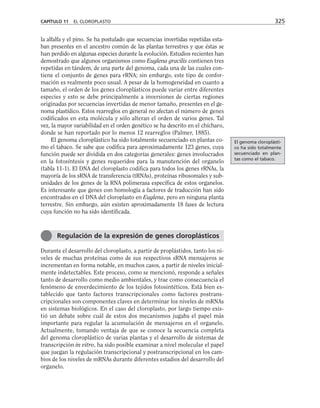 la alfalfa y el pino. Se ha postulado que secuencias invertidas repetidas esta-
ban presentes en el ancestro común de las plantas terrestres y que éstas se
han perdido en algunas especies durante la evolución. Estudios recientes han
demostrado que algunos organismos como Euglena gracilis contienen tres
repetidas en tándem, de una parte del genoma, cada una de las cuales con-
tiene el conjunto de genes para rRNA; sin embargo, este tipo de confor-
mación es realmente poco usual. A pesar de la homogeneidad en cuanto a
tamaño, el orden de los genes cloroplásticos puede variar entre diferentes
especies y esto se debe principalmente a inversiones de ciertas regiones
originadas por secuencias invertidas de menor tamaño, presentes en el ge-
noma plastídico. Estos rearreglos en general no afectan el número de genes
codificados en esta molécula y sólo alteran el orden de varios genes. Tal
vez, la mayor variabilidad en el orden genético se ha descrito en el chícharo,
donde se han reportado por lo menos 12 rearreglos (Palmer, 1885).
El genoma cloroplástico ha sido totalmente secuenciado en plantas co-
mo el tabaco. Se sabe que codifica para aproximadamente 123 genes, cuya
función puede ser dividida en dos categorías generales: genes involucrados
en la fotosíntesis y genes requeridos para la manutención del organelo
(tabla 11-1). El DNA del cloroplasto codifica para todos los genes rRNAs, la
mayoría de los sRNA de transferencia (tRNAs), proteínas ribosomales y sub-
unidades de los genes de la RNA polimerasa específica de estos organelos.
Es interesante que genes con homología a factores de traducción han sido
encontrados en el DNA del cloroplasto en Euglena, pero en ninguna planta
terrestre. Sin embargo, aún existen aproximadamente 18 fases de lectura
cuya función no ha sido identificada.
Durante el desarrollo del cloroplasto, a partir de proplástidos, tanto los ni-
veles de muchas proteínas como de sus respectivos sRNA mensajeros se
incrementan en forma notable, en muchos casos, a partir de niveles inicial-
mente indetectables. Este proceso, como se mencionó, responde a señales
tanto de desarrollo como medio ambientales, y trae como consecuencia el
fenómeno de enverdecimiento de los tejidos fotosintéticos. Está bien es-
tablecido que tanto factores transcripcionales como factores postrans-
cripcionales son componentes claves en determinar los niveles de mRNAs
en sistemas biológicos. En el caso del cloroplasto, por largo tiempo exis-
tió un debate sobre cuál de estos dos mecanismos jugaba el papel más
importante para regular la acumulación de mensajeros en el organelo.
Actualmente, tomando ventaja de que se conoce la secuencia completa
del genoma cloroplástico de varias plantas y el desarrollo de sistemas de
transcripción in vitro, ha sido posible examinar a nivel molecular el papel
que juegan la regulación transcripcional y postranscripcional en los cam-
bios de los niveles de mRNAs durante diferentes estadios del desarrollo del
organelo.
CAPÍTULO 11 EL CLOROPLASTO 325
Regulación de la expresión de genes cloroplásticos
El genoma cloroplásti-
co ha sido totalmente
secuenciado en plan-
tas como el tabaco.
 