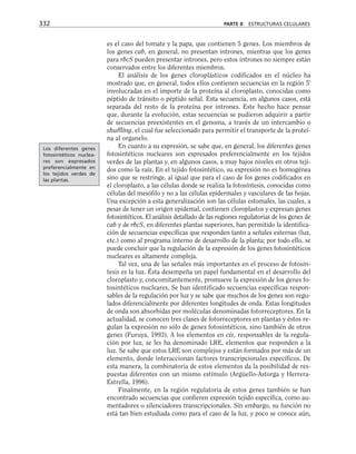 es el caso del tomate y la papa, que contienen 5 genes. Los miembros de
los genes cab, en general, no presentan intrones, mientras que los genes
para rbcS pueden presentar intrones, pero estos intrones no siempre están
conservados entre los diferentes miembros.
El análisis de los genes cloroplásticos codificados en el núcleo ha
mostrado que, en general, todos ellos contienen secuencias en la región 5'
involucradas en el importe de la proteína al cloroplasto, conocidas como
péptido de tránsito o péptido señal. Esta secuencia, en algunos casos, está
separada del resto de la proteína por intrones. Este hecho hace pensar
que, durante la evolución, estas secuencias se pudieron adquirir a partir
de secuencias preexistentes en el genoma, a través de un intercambio o
shuffling, el cual fue seleccionado para permitir el transporte de la proteí-
na al organelo.
En cuanto a su expresión, se sabe que, en general, los diferentes genes
fotosintéticos nucleares son expresados preferencialmente en los tejidos
verdes de las plantas y, en algunos casos, a muy bajos niveles en otros teji-
dos como la raíz. En el tejido fotosintético, su expresión no es homogénea
sino que se restringe, al igual que para el caso de los genes codificados en
el cloroplasto, a las células donde se realiza la fotosíntesis, conocidas como
células del mesófilo y no a las células epidermales y vasculares de las hojas.
Una excepción a esta generalización son las células estomales, las cuales, a
pesar de tener un origen epidemal, contienen cloroplastos y expresan genes
fotosintéticos. El análisis detallado de las regiones regulatorias de los genes de
cab y de rbcS, en diferentes plantas superiores, han permitido la identifica-
ción de secuencias específicas que responden tanto a señales externas (luz,
etc.) como al programa interno de desarrollo de la planta; por todo ello, se
puede concluir que la regulación de la expresión de los genes fotosintéticos
nucleares es altamente compleja.
Tal vez, una de las señales más importantes en el proceso de fotosín-
tesis es la luz. Ésta desempeña un papel fundamental en el desarrollo del
cloroplasto y, concomitantemente, promueve la expresión de los genes fo-
tosintéticos nucleares. Se han identificado secuencias específicas respon-
sables de la regulación por luz y se sabe que muchos de los genes son regu-
lados diferencialmente por diferentes longitudes de onda. Estas longitudes
de onda son absorbidas por moléculas denominadas fotorreceptores. En la
actualidad, se conocen tres clases de fotorreceptores en plantas y éstos re-
gulan la expresión no sólo de genes fotosintéticos, sino también de otros
genes (Furuya, 1993). A los elementos en cis, responsables de la regula-
ción por luz, se les ha denominado LRE, elementos que responden a la
luz. Se sabe que estos LRE son complejos y están formados por más de un
elemento, donde interaccionan factores transcripcionales específicos. De
esta manera, la combinatoria de estos elementos da la posibilidad de res-
puestas diferentes con un mismo estímulo (Argüello-Astorga y Herrera-
Estrella, 1996).
Finalmente, en la región regulatoria de estos genes también se han
encontrado secuencias que confieren expresión tejido específica, como au-
mentadores o silenciadores transcripcionales. Sin embargo, su función no
está tan bien estudiada como para el caso de la luz, y poco se conoce aún,
332 PARTE II ESTRUCTURAS CELULARES
Los diferentes genes
fotosintéticos nuclea-
res son expresados
preferencialmente en
los tejidos verdes de
las plantas.
 