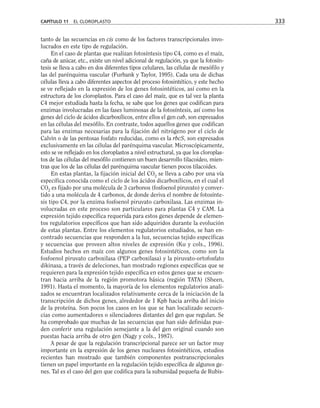 tanto de las secuencias en cis como de los factores transcripcionales invo-
lucrados en este tipo de regulación.
En el caso de plantas que realizan fotosíntesis tipo C4, como es el maíz,
caña de azúcar, etc., existe un nivel adicional de regulación, ya que la fotosín-
tesis se lleva a cabo en dos diferentes tipos celulares, las células de mesófilo y
las del parénquima vascular (Furbank y Taylor, 1995). Cada una de dichas
células lleva a cabo diferentes aspectos del proceso fotosintético, y este hecho
se ve reflejado en la expresión de los genes fotosintéticos, así como en la
estructura de los cloroplastos. Para el caso del maíz, que es tal vez la planta
C4 mejor estudiada hasta la fecha, se sabe que los genes que codifican para
enzimas involucradas en las fases luminosas de la fotosíntesis, así como los
genes del ciclo de ácidos dicarboxílicos, entre ellos el gen cab, son expresados
en las células del mesófilo. En contraste, todos aquellos genes que codifican
para las enzimas necesarias para la fijación del nitrógeno por el ciclo de
Calvin o de las pentosas fosfato reducidas, como es la rbcS, son expresados
exclusivamente en las células del parénquima vascular. Microscópicamente,
esto se ve reflejado en los cloroplastos a nivel estructural, ya que los cloroplas-
tos de las células del mesófilo contienen un buen desarrollo tilacoideo, mien-
tras que los de las células del parénquima vascular tienen pocos tilacoides.
En estas plantas, la fijación inicial del CO2
se lleva a cabo por una vía
específica conocida como el ciclo de los ácidos dicarboxílicos, en el cual el
CO2
es fijado por una molécula de 3 carbonos (fosfoenol piruvato) y conver-
tido a una molécula de 4 carbonos, de donde deriva el nombre de fotosínte-
sis tipo C4, por la enzima fosfoenol piruvato carboxilasa. Las enzimas in-
volucradas en este proceso son particulares para plantas C4 y CAM. La
expresión tejido específica requerida para estos genes depende de elemen-
tos regulatorios específicos que han sido adquiridos durante la evolución
de estas plantas. Entre los elementos regulatorios estudiados, se han en-
contrado secuencias que responden a la luz, secuencias tejido específicas
y secuencias que proveen altos niveles de expresión (Ku y cols., 1996).
Estudios hechos en maíz con algunos genes fotosintéticos, como son la
fosfoenol piruvato carboxilasa (PEP carboxilasa) y la piruvato-ortofosfato
dikinasa, a través de deleciones, han mostrado regiones específicas que se
requieren para la expresión tejido específica en estos genes que se encuen-
tran hacia arriba de la región promotora básica (región TATA) (Sheen,
1991). Hasta el momento, la mayoría de los elementos regulatorios anali-
zados se encuentran localizados relativamente cerca de la iniciación de la
transcripción de dichos genes, alrededor de 1 Kpb hacia arriba del inicio
de la proteína. Son pocos los casos en los que se han localizado secuen-
cias como aumentadores o silenciadores distantes del gen que regulan. Se
ha comprobado que muchas de las secuencias que han sido definidas pue-
den conferir una regulación semejante a la del gen original cuando son
puestas hacia arriba de otro gen (Nagy y cols., 1987).
A pesar de que la regulación transcripcional parece ser un factor muy
importante en la expresión de los genes nucleares fotosintéticos, estudios
recientes han mostrado que también componentes postranscripcionales
tienen un papel importante en la regulación tejido específica de algunos ge-
nes. Tal es el caso del gen que codifica para la subunidad pequeña de Rubis-
CAPÍTULO 11 EL CLOROPLASTO 333
 