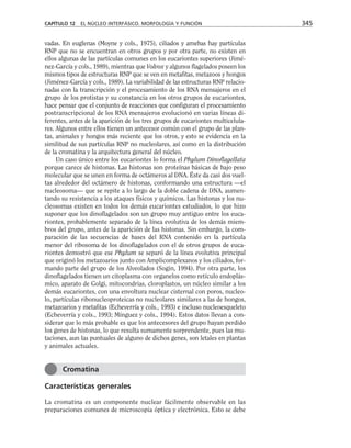 vadas. En euglenas (Moyne y cols., 1975), ciliados y amebas hay partículas
RNP que no se encuentran en otros grupos y por otra parte, no existen en
ellos algunas de las partículas comunes en los eucariontes superiores (Jimé-
nez-García y cols., 1989), mientras que Volvox y algunos flagelados poseen los
mismos tipos de estructuras RNP que se ven en metafitas, metazoos y hongos
(Jiménez-García y cols., 1989). La variabilidad de las estructuras RNP relacio-
nadas con la transcripción y el procesamiento de los RNA mensajeros en el
grupo de los protistas y su constancia en los otros grupos de eucariontes,
hace pensar que el conjunto de reacciones que conf