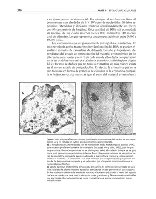 biologia-celular-y-molecular.pdf