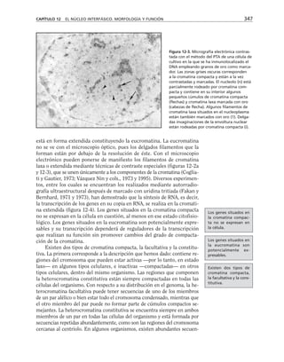 biologia-celular-y-molecular.pdf