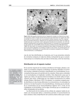 biologia-celular-y-molecular.pdf