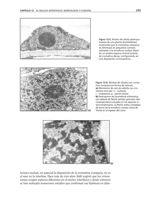 biologia-celular-y-molecular.pdf