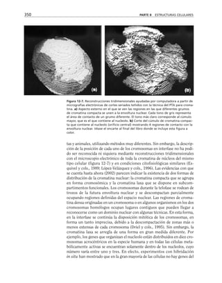 biologia-celular-y-molecular.pdf
