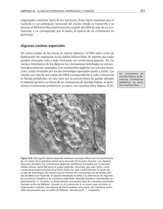 biologia-celular-y-molecular.pdf