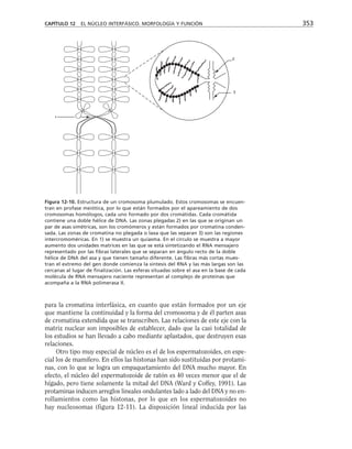 biologia-celular-y-molecular.pdf