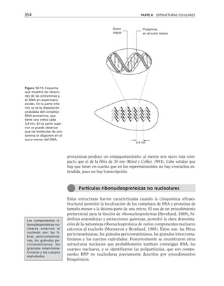biologia-celular-y-molecular.pdf