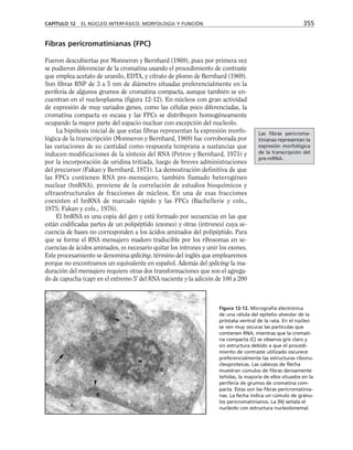 biologia-celular-y-molecular.pdf