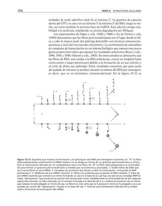 biologia-celular-y-molecular.pdf