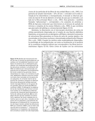 biologia-celular-y-molecular.pdf