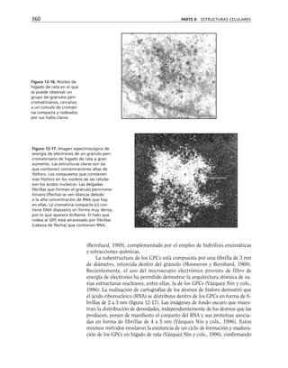 biologia-celular-y-molecular.pdf