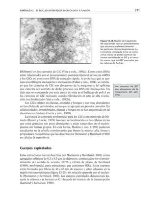 biologia-celular-y-molecular.pdf
