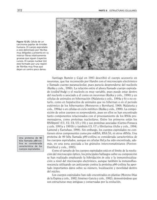 biologia-celular-y-molecular.pdf