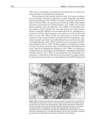 biologia-celular-y-molecular.pdf