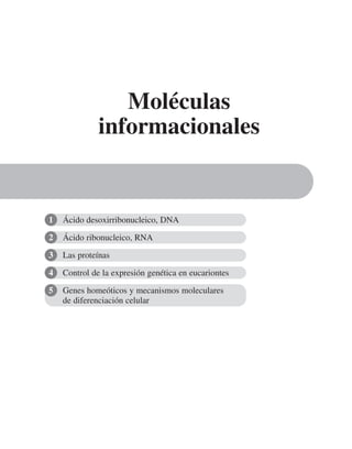 Ácido ribonucleico, RNA
Las proteínas
Control de la expresión genética en eucariontes
Genes homeóticos y mecanismos moleculares
de diferenciación celular
Moléculas
informacionales
1
2
3
4
5
Ácido desoxirribonucleico, DNA
 