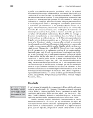 biologia-celular-y-molecular.pdf