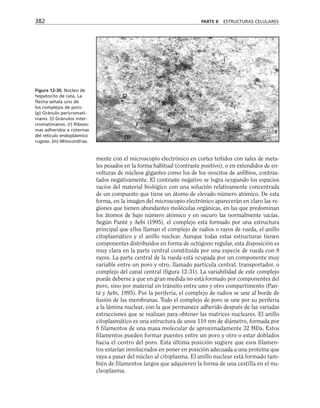 biologia-celular-y-molecular.pdf