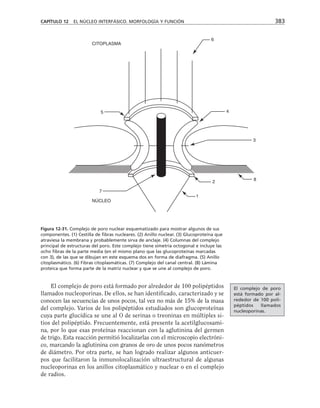 biologia-celular-y-molecular.pdf