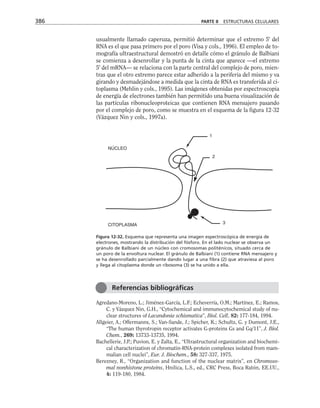 biologia-celular-y-molecular.pdf