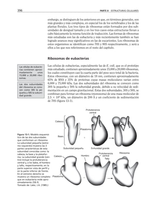 biologia-celular-y-molecular.pdf