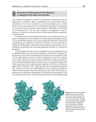 biologia-celular-y-molecular.pdf